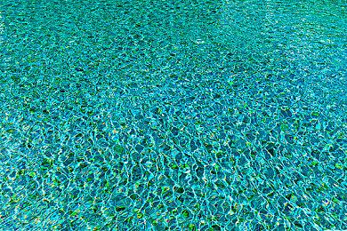 “做宝可梦” 《宝可梦Sleep》全球下载量突破1000万